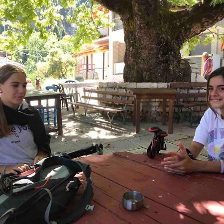 Chalet In The Forest Kalavryta Exterior foto