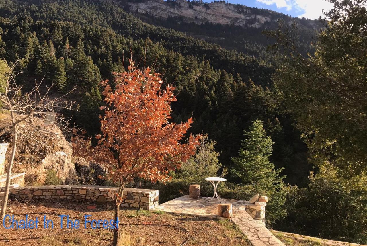 Chalet In The Forest Kalavryta Exterior foto