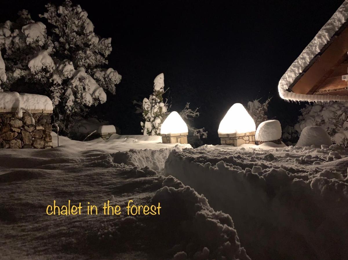 Chalet In The Forest Kalavryta Exterior foto