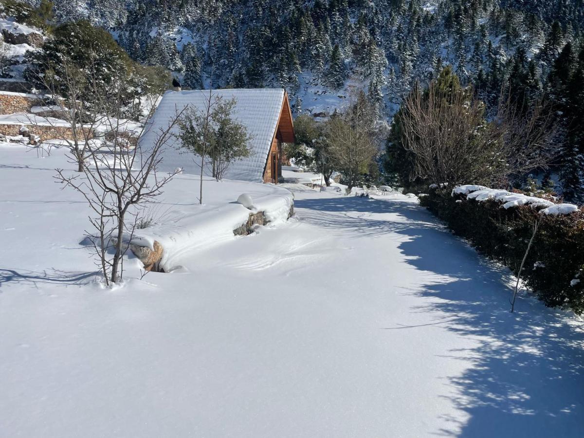 Chalet In The Forest Kalavryta Exterior foto