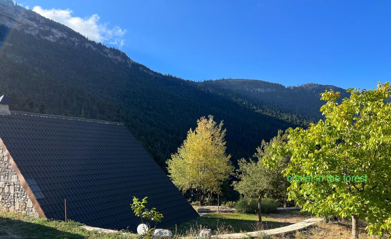Chalet In The Forest Kalavryta Exterior foto