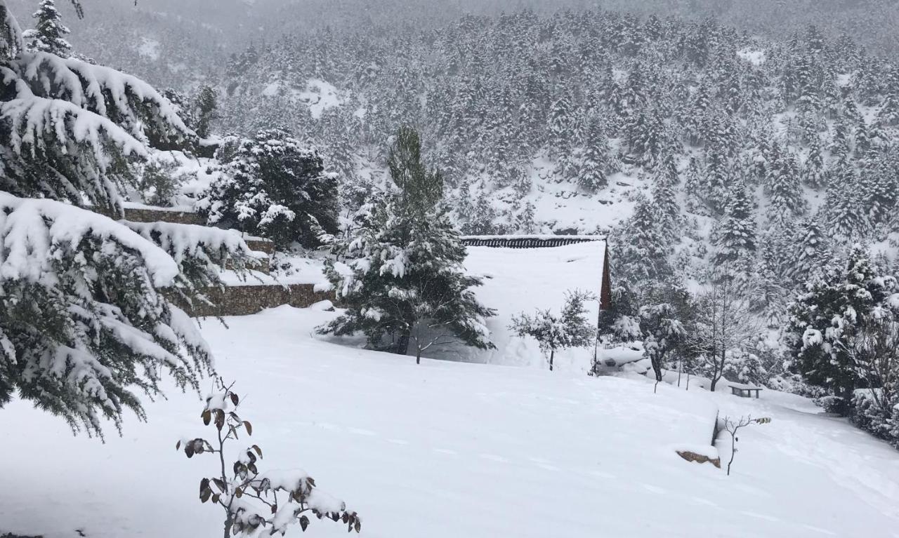 Chalet In The Forest Kalavryta Exterior foto