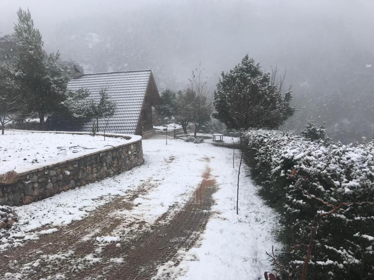 Chalet In The Forest Kalavryta Exterior foto