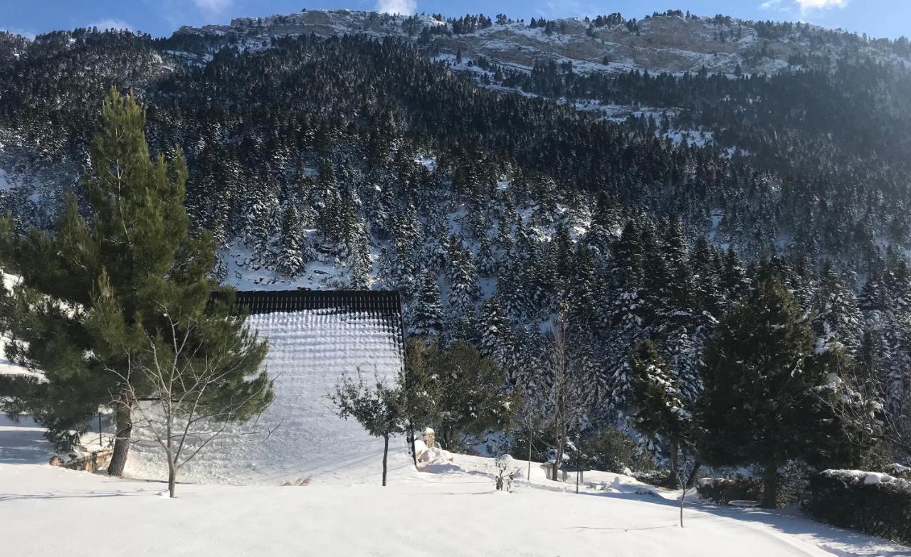 Chalet In The Forest Kalavryta Exterior foto