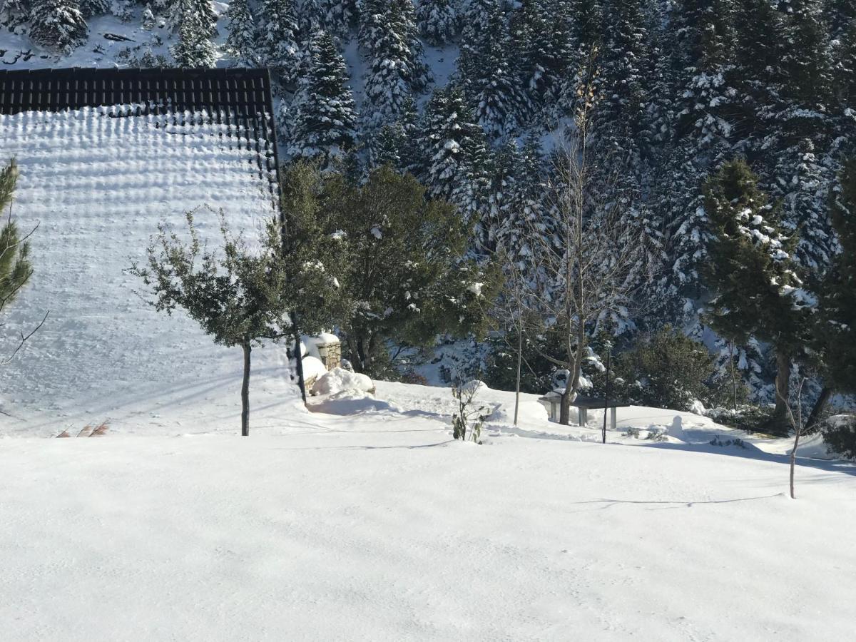 Chalet In The Forest Kalavryta Exterior foto
